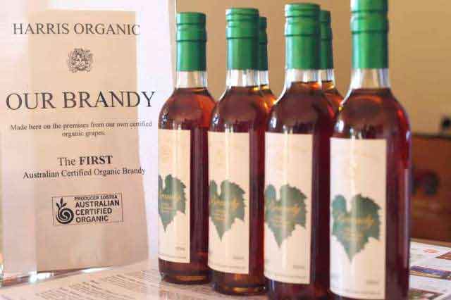 Organic Brandy