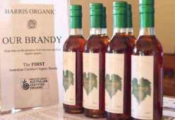 Organic brandy butter